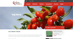 Desktop Screenshot of gojiberryburada.com